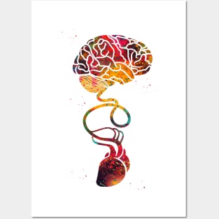 Brain and Heart Posters and Art